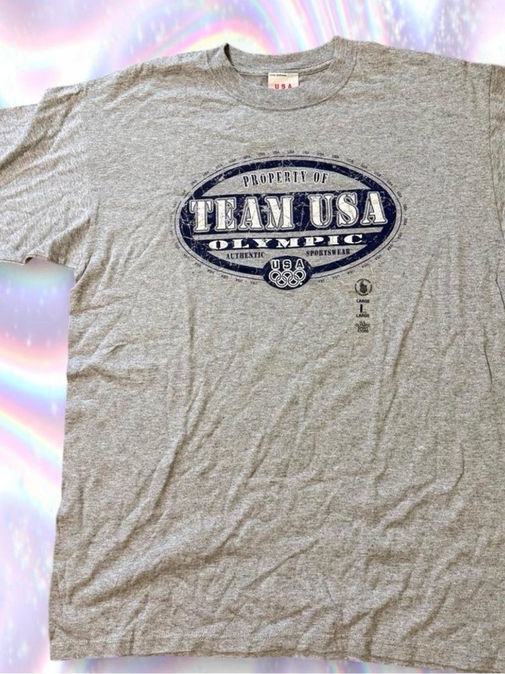 Team USA Gray Graphic Short-Sleeve T-Shirt
